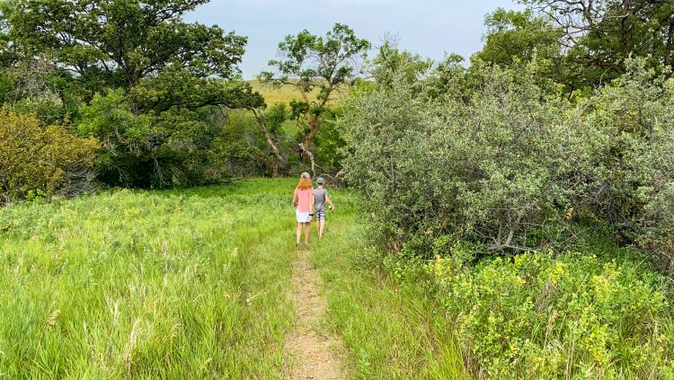 schnell recreation area