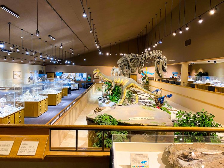 Dickinson dinosaur museum