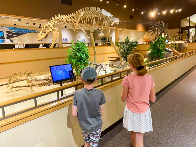 dickinson dinosaur museum