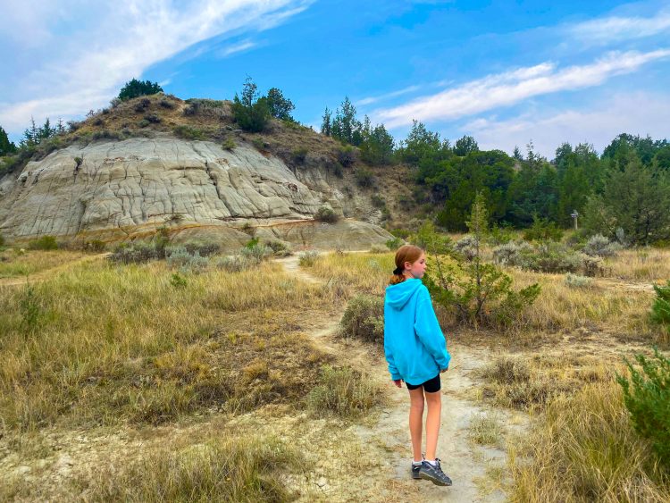 Painted canyon nature trail north dakota