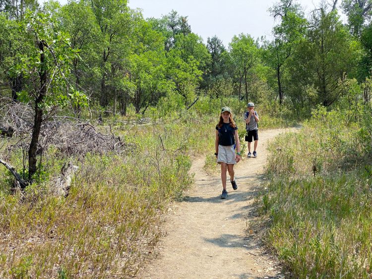 hiking theodore roosevelt national park