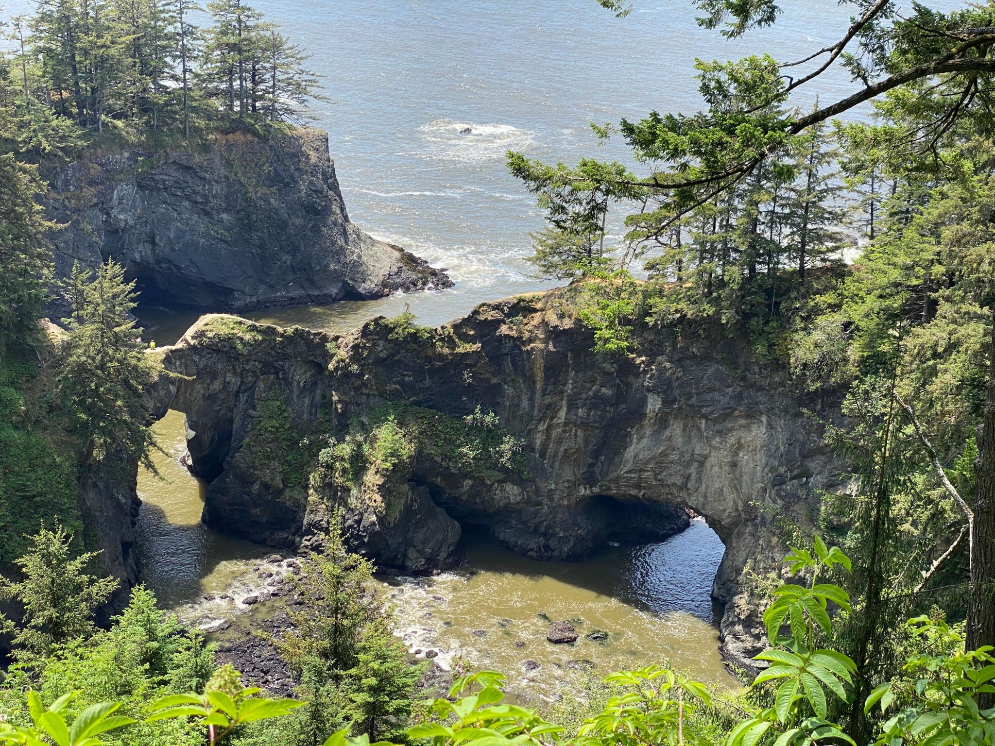 Natural Bridges Oregon