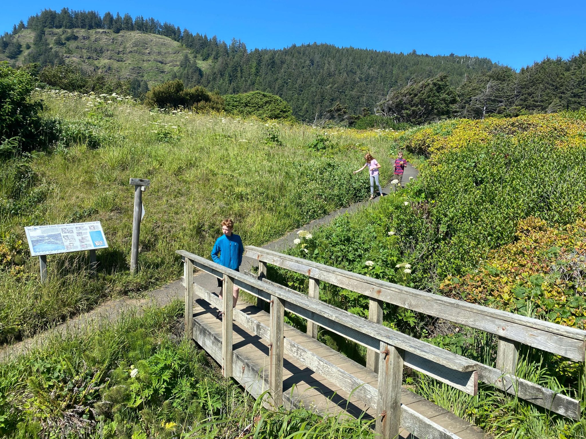 Cape perpetua oregon