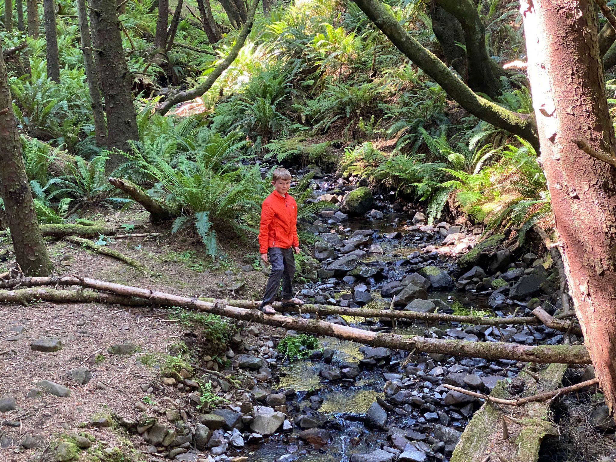 Ecola State Park