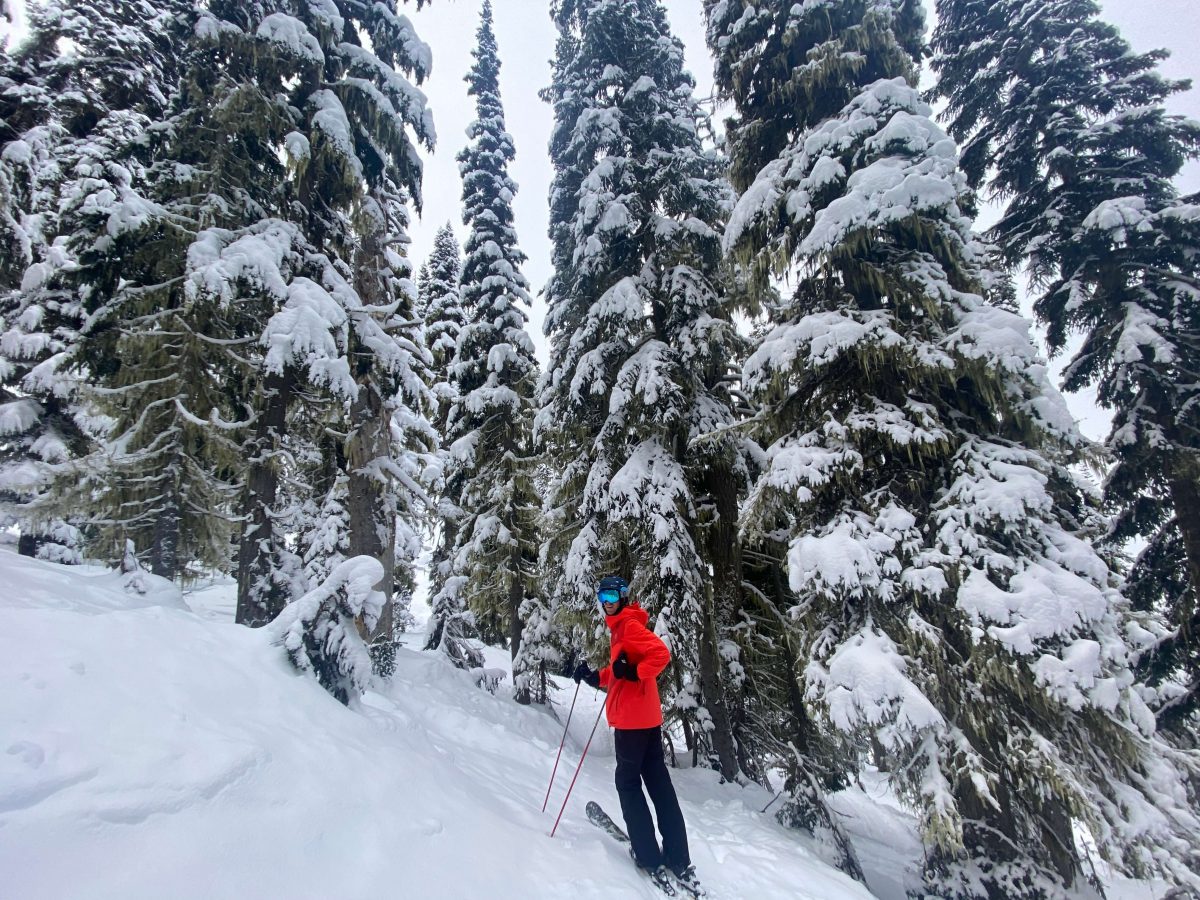 skiing whistler