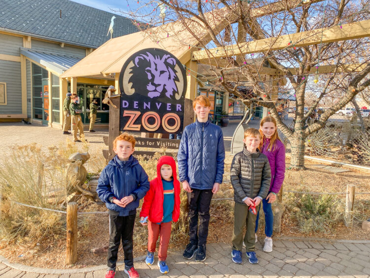 downtown Denver Zoo with kids