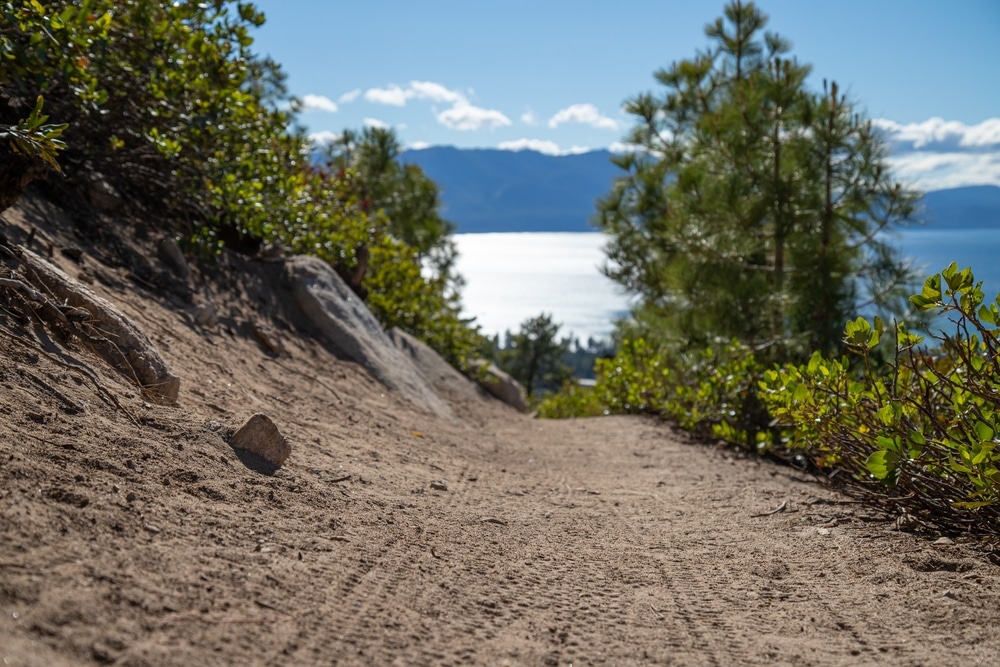 biking tahoe with kids