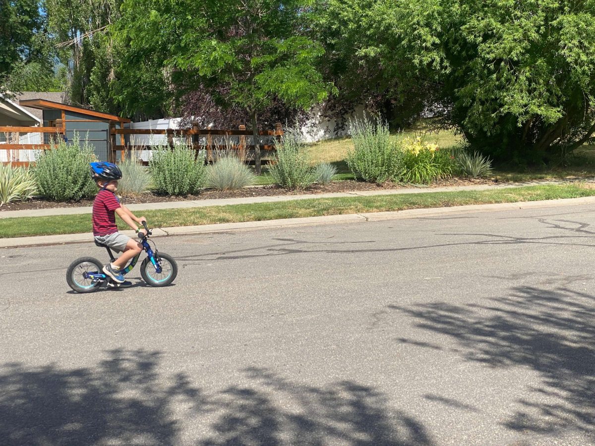 Balance bike for older child best sale