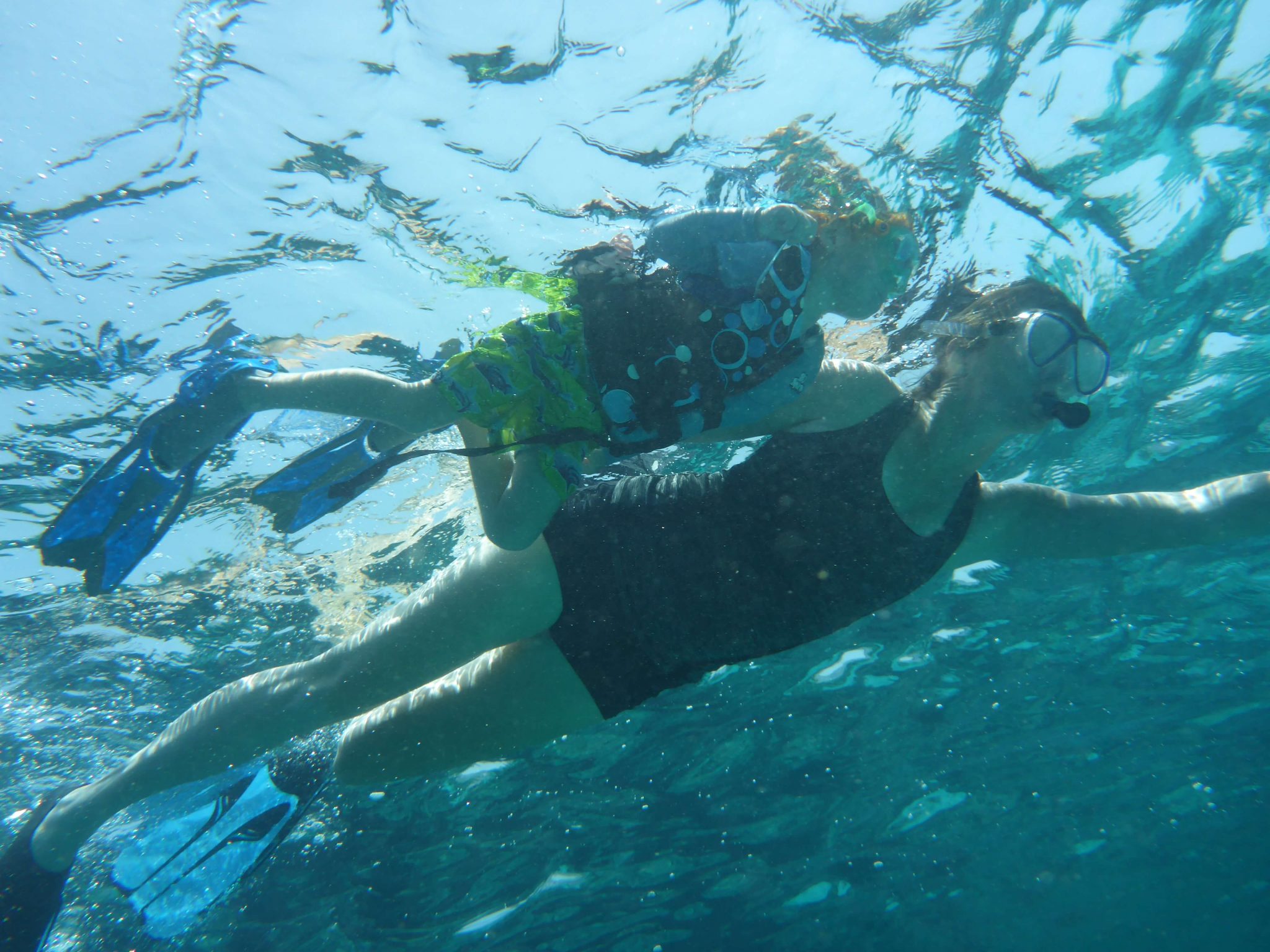 snorkeling in ocean