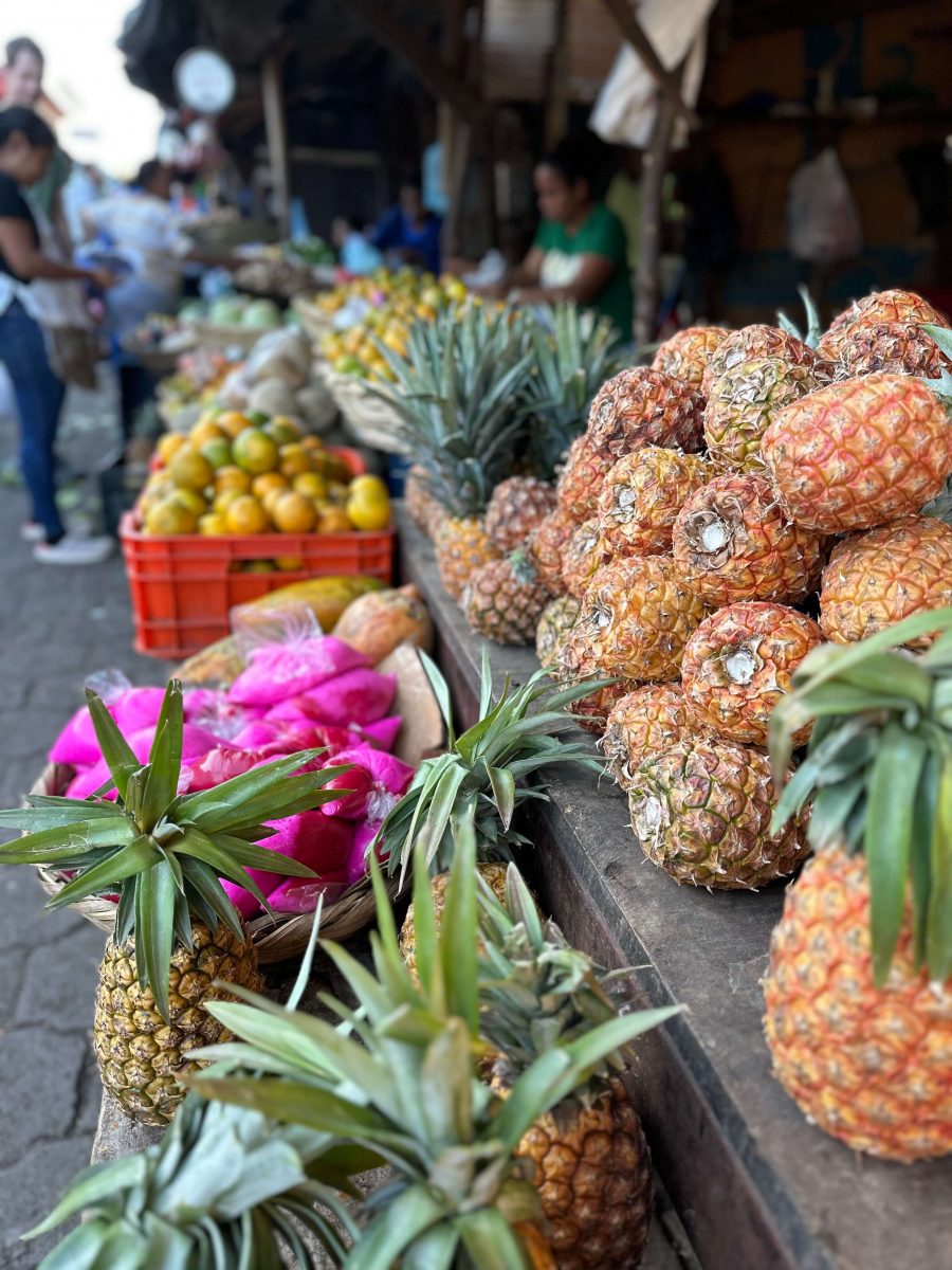 Granada Nicaragua with kids