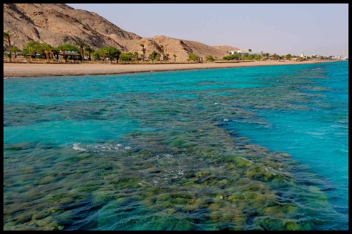 snorkeling eilat israel