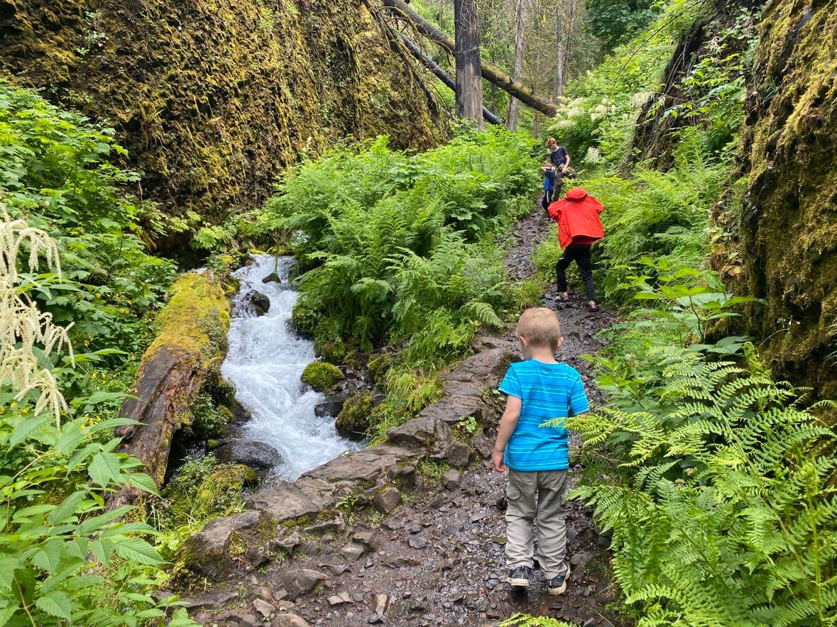 waterfall hikes columbia river gorge with kids