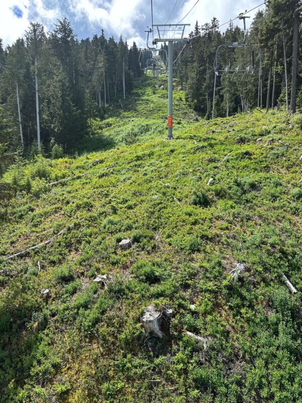 garbanzo chairlift whistler