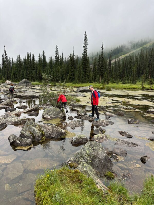 hiking banff with kids