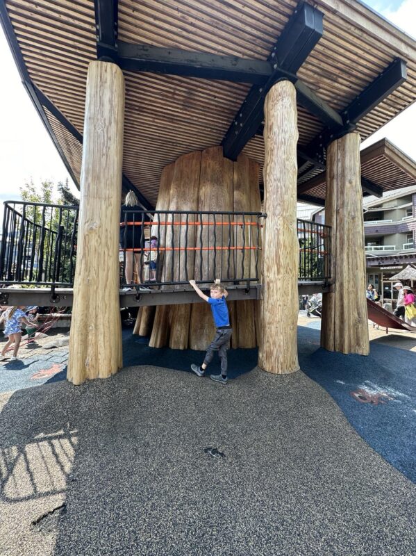 whistler olypmic park playground